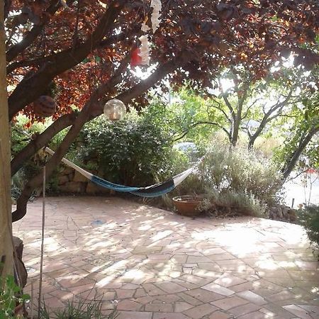 Atelier Pasquer Bed & Breakfast Fitou Dış mekan fotoğraf