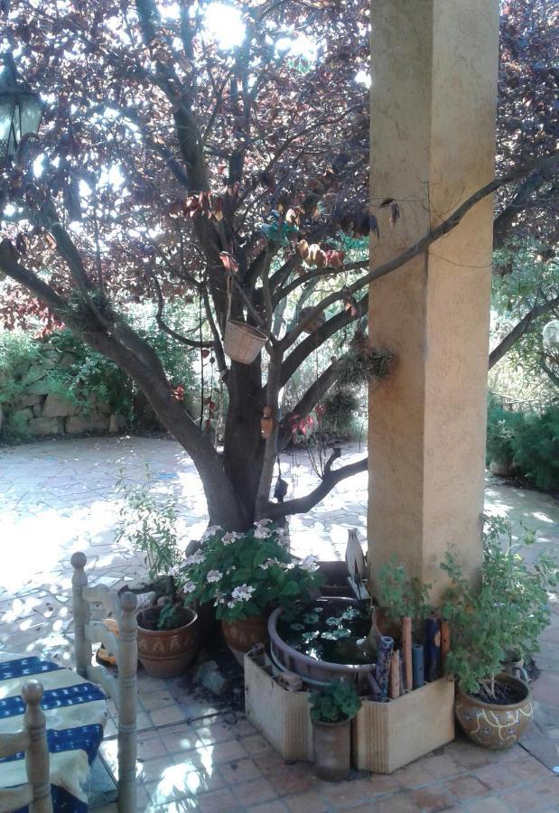 Atelier Pasquer Bed & Breakfast Fitou Dış mekan fotoğraf